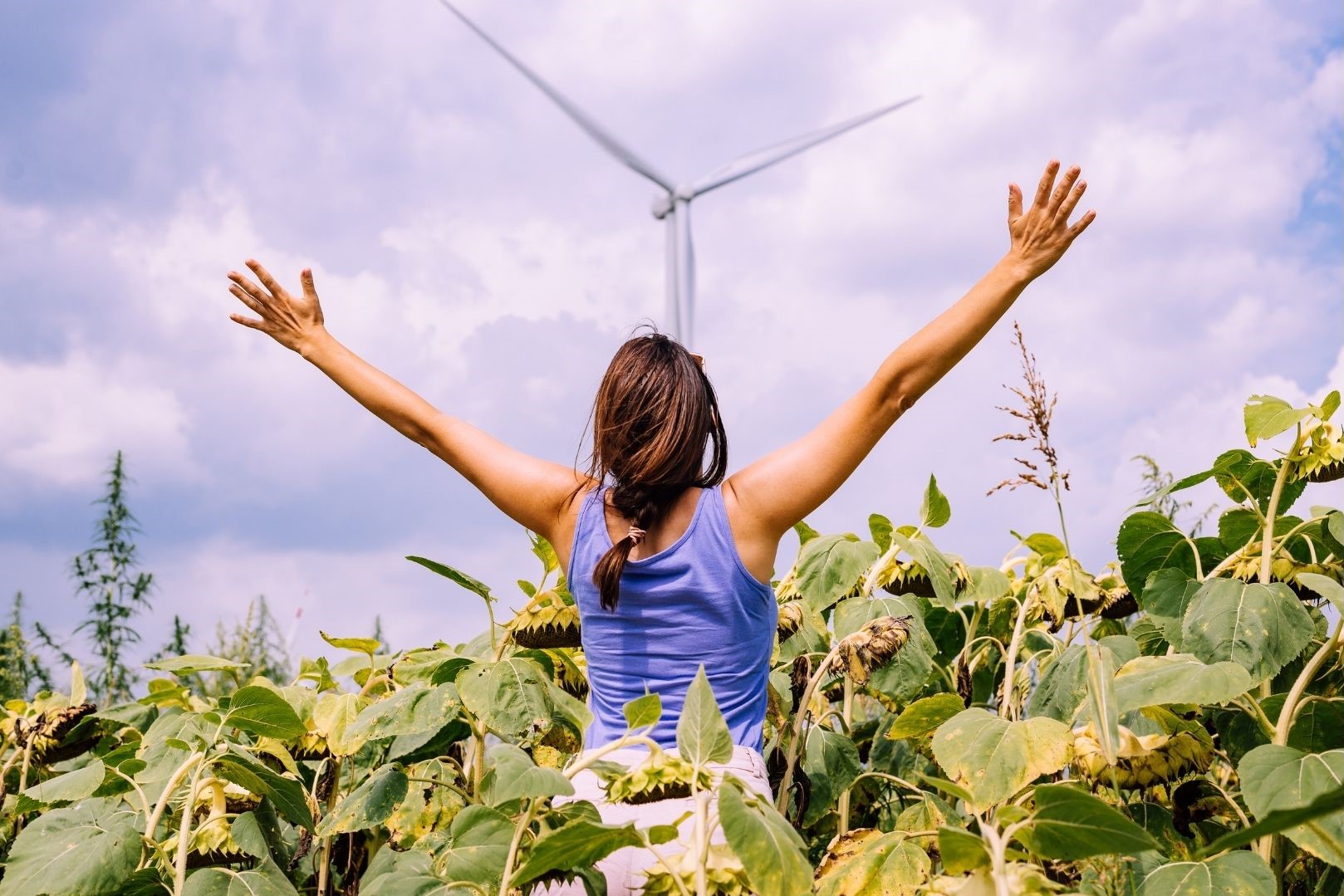 Eine Frau steht mit dem Rücken zur Kamera in einem Feld mit hohen grünen Pflanzen. Die hat die Arme nach oben rechts und links ausgestreckt. In der Mitte des Bildes ist im Hintergrund eine Windkraftanlage zu sehen.