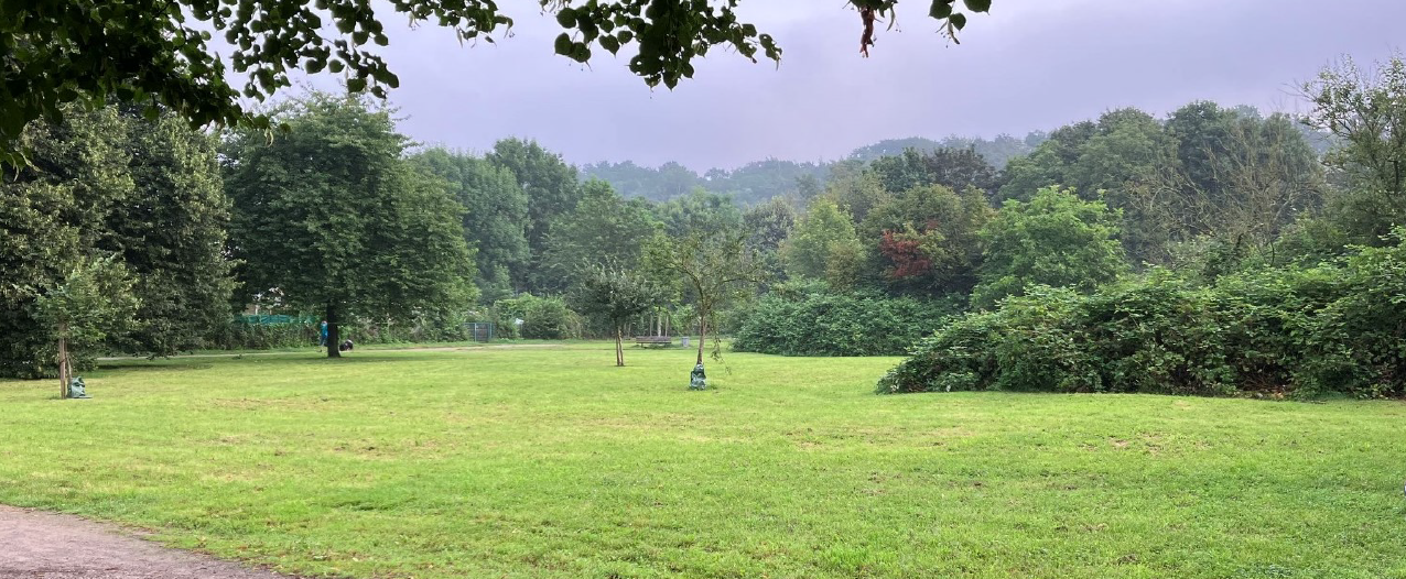 Ein Foto vom Diepenpark in Gerresheim. Man sieht viele Bäume, eine Freifläche mit Rasen und einen Parkweg