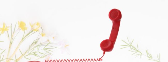 Notfallhandy_Ostern25_Homepage